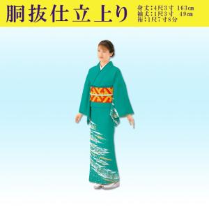 踊り 着物 きもの 優美胴抜き仕立上り洗える着物 訪問着 衣装 緑