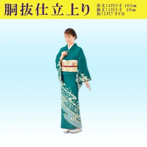 踊り 着物 きもの 優美胴抜き仕立上り洗える着物 訪問着 衣装 緑