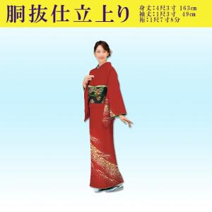 踊り 着物 きもの 優美胴抜き仕立上り洗える着物 訪問着 衣装 赤