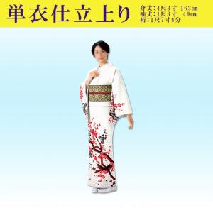 裾引き すそひき おひき 踊り 着物 舞踊 仕立て上がり 白地 銀箔 桜