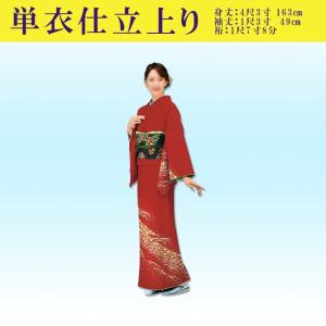 【お値下げ】正絹　色無地　縦縞模様　胴抜き仕立て　黒紅色 踊り用 着物 付け下げ セミオーダー仕立て上がり 袷 胴抜き 単衣 絵羽