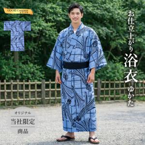 踊り 着物 舞踊 絵羽 反物 紫 藤 当店限定商品 : ODORI Company - 通販