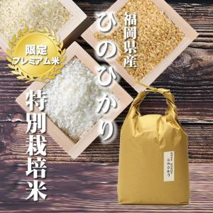 お米 5kg ヒノヒカリ 5kg×1袋  令和5年産/ お祝い 父の日 プレゼント ギフト お取り寄せグルメ　 福岡県 特別栽培米 たごもり農園｜odorokitchen