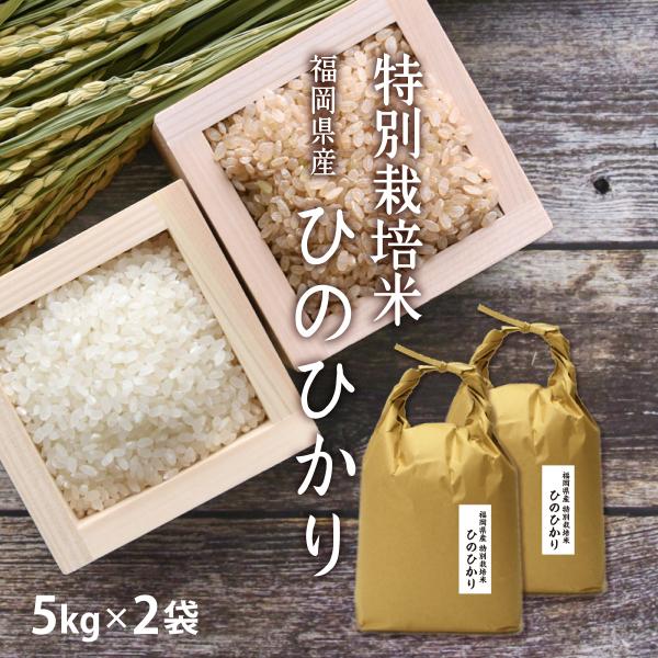 お歳暮ギフト【新米】 お米 10kg ひのひかり特別栽培米 5kg×2  令和7年産/ お歳暮 ギフ...