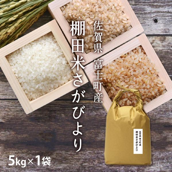 【新米】お歳暮ギフト お米 5kg 特Ａ 棚田米 さがびより 5kg×1袋 令和7年産 / プレゼン...