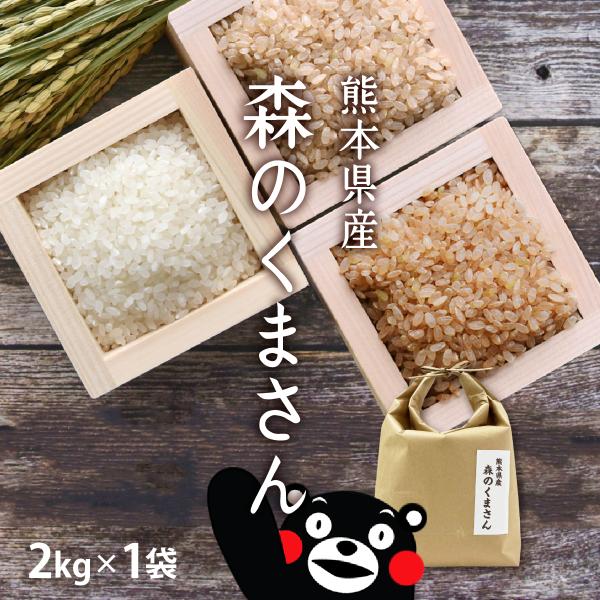 新米 お米 2kg 森のくまさん 2kg×1袋 令和7年産 / お取り寄せグルメ 熊本県 バレンタイ...