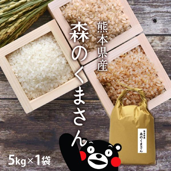 お歳暮ギフト【新米】 お米 5kg 森のくまさん 5kg×1袋 令和7年産 / プレゼント お歳暮 ...