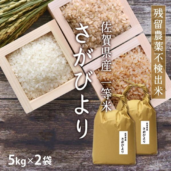 米 10kg さがびより5kg×2袋 令和7年産 残留農薬不検出米 一等米/ お取り寄せグルメ 佐賀...
