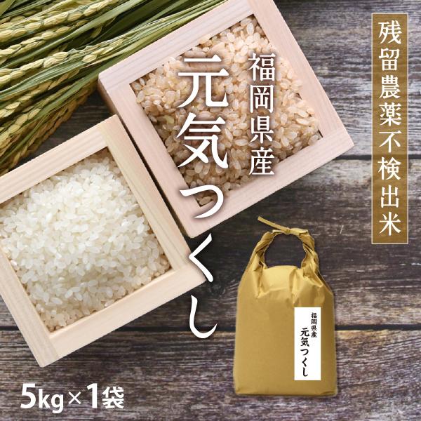 新米 米 5kg 元気つくし 5kg×1袋 令和7年産 残留農薬不検出 一等米 / お取り寄せグルメ...