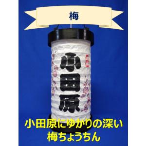 提灯 小田原ちょうちん お猿のかごや 手作り提灯 小田原名産 提灯 小田原ちょうちん お猿のかごや 手作り提灯 小田原名産