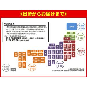 【よりどり選べる 2ケース】アクエリアス パウ...の詳細画像4