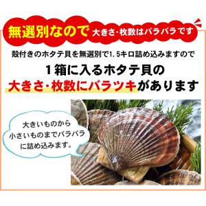 「総重量3kg以上」北海道産 海鮮 BBQ バ...の詳細画像5