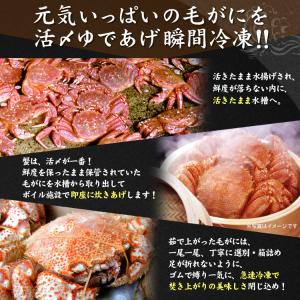 北海道 毛蟹 毛ガニ 400g前後×2尾入 か...の詳細画像4