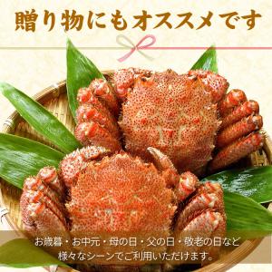 北海道 毛蟹 毛ガニ 400g前後×2尾入 か...の詳細画像5