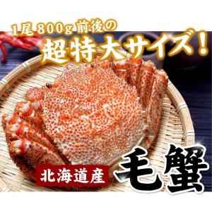 北海道産 毛ガニ 特大 1尾 約800g前後 ...の詳細画像1