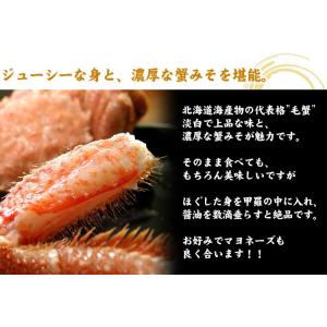 北海道産 毛ガニ 特大 1尾 約800g前後 ...の詳細画像3