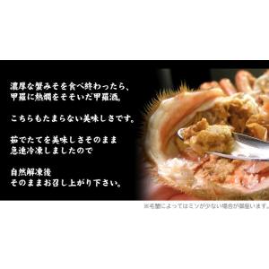 北海道産 毛ガニ 特大 1尾 約800g前後 ...の詳細画像4