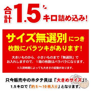 殻付き 北海道産 ホタテ 合計1.5キロ ほた...の詳細画像2