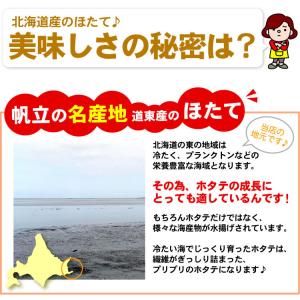 殻付き 北海道産 ホタテ 合計1.5キロ ほた...の詳細画像4