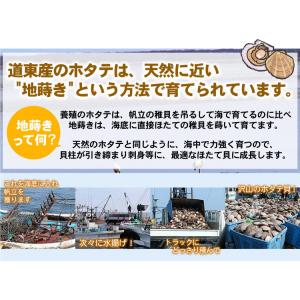 殻付き 北海道産 ホタテ 合計1.5キロ ほた...の詳細画像5