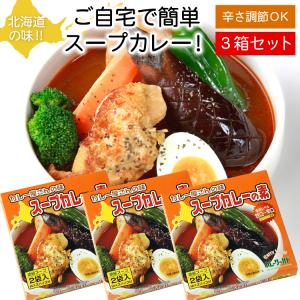 お買い得3個セット カレー屋さんの味 スープカレーの素 濃縮スープ2袋入×3個セット（MIXスパイス付）簡単調理 Curry World カレーワールド メール便 送料無料