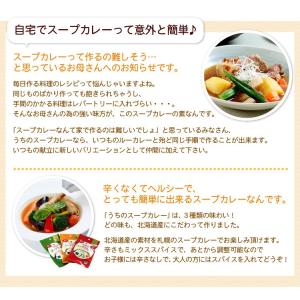 札幌の食卓 うちのスープカレー(あっさりトマト...の詳細画像3
