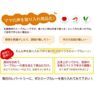 札幌の食卓 うちのスープカレー(あっさりトマト...の詳細画像4