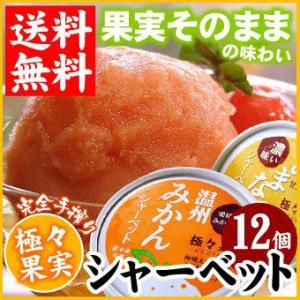 極々果実 シャーベット 12個セット 送料無料 ...の商品画像