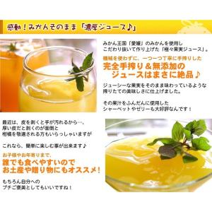 極々果実 シャーベット 12個セット 送料無料...の詳細画像2