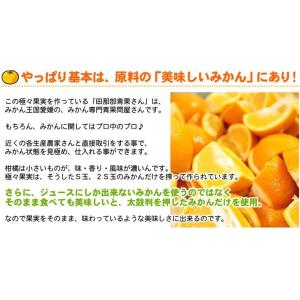 極々果実 シャーベット 12個セット 送料無料...の詳細画像3