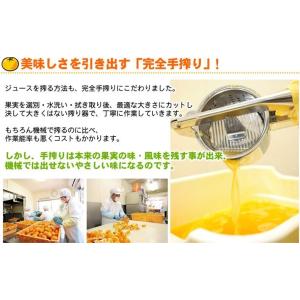 極々果実 シャーベット 12個セット 送料無料...の詳細画像4