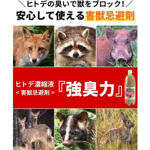害獣 忌避剤 1L ヒトデ濃縮液 強臭力 1リ...の詳細画像1