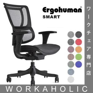 エルゴヒューマン スマート Ergohuman smart アームレスト付 エルゴヒューマンチェアー お客様組み立て 送料無料