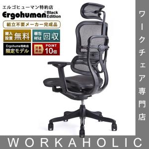 エルゴヒューマン プロ Black Edition ブラックエディション 限定モデル・ブラック塗装・メーカー組立済完成品 ヘッドレスト付 背・座エラストメリックメッシュ