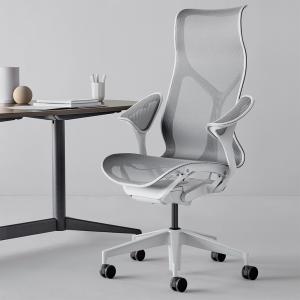 Herman Miller（ハーマンミラー） エンボディチェア Embody Chairs