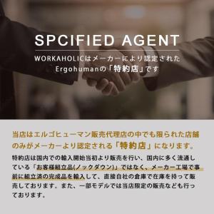 エルゴヒューマンフィット2 オットマン内蔵型 ...の詳細画像2