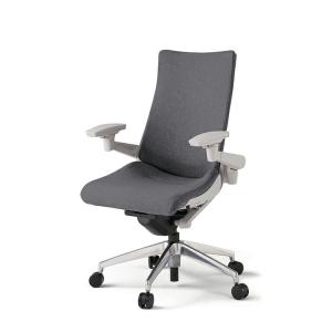 イトーキ（ITOKI） ITOKI ACT（アクト）／プレーンメッシュバック