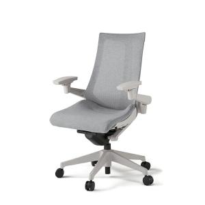 イトーキ（ITOKI） ITOKI ACT（アクト）／プレーンメッシュバック