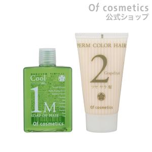 オブ・コスメティックス トリートメントスパオブヘア・S2 210g 2本セット トリートメントスパオブヘア・S2