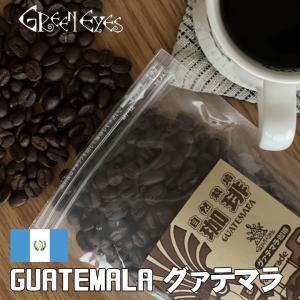 グァテマラ・100g×2袋　豆のまま 生豆使用の珈琲〔グリーンアイズcoffee〕