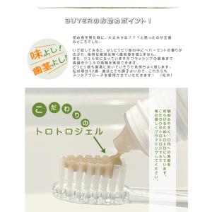 デンタアプローチ・ファミリーサイズ 90g d...の詳細画像3