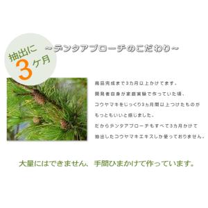 デンタアプローチ・ファミリーサイズ 90g d...の詳細画像5