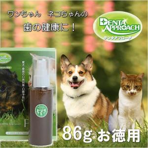 想いを繋ぐ百貨店 Tsunagu デンタアプローチ ブランド一覧 Yahoo ショッピング