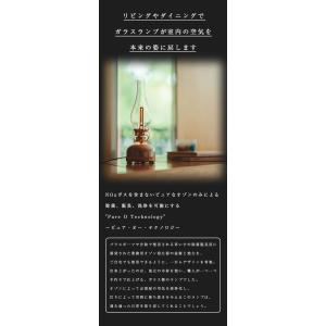 正規販売店オゾン生成 消臭 除菌 洗浄 ルミィ...の詳細画像2
