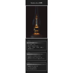 正規販売店オゾン生成 消臭 除菌 洗浄 ルミィ...の詳細画像3