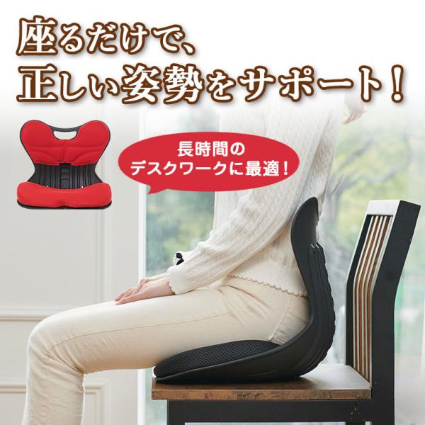 ヒップクッションチェア 骨盤サポート椅子 Hip Cushion Chair お尻が痛くなりにくい ...