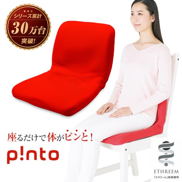 pinto 椅子 クッション 座椅子 ピント エスリーム p!nto ETHREEM 正しい姿勢 習...