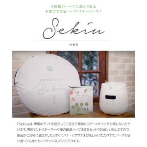 SEKIU テントサウナ 3点セット スチーム...の詳細画像1