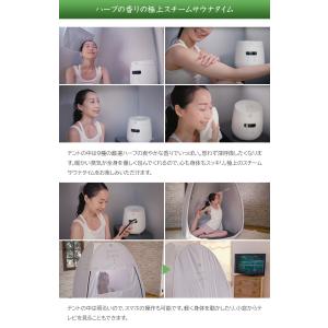 SEKIU テントサウナ 3点セット スチーム...の詳細画像4