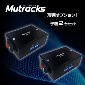 ミュートラックス 子機2台セット スピーカー 接続  無線LAN 音楽配信 Wi-Fi オーディオシステム 音楽データ デジタル化 アナログスピーカー USBスピーカー｜offer1999